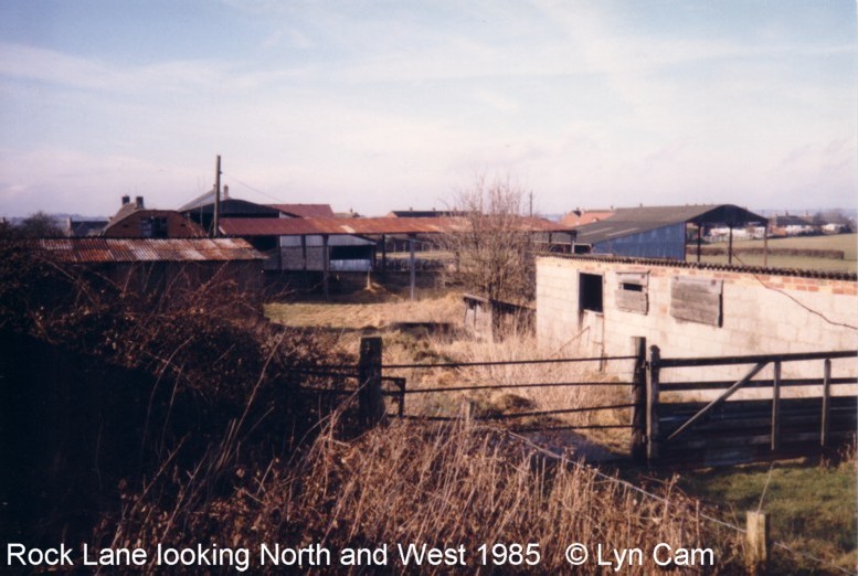 Views from Rear of Rock Lane  by Lynn Cam