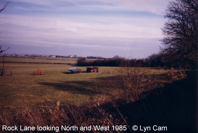 Views from Rear of Rock Lane  by Lynn Cam