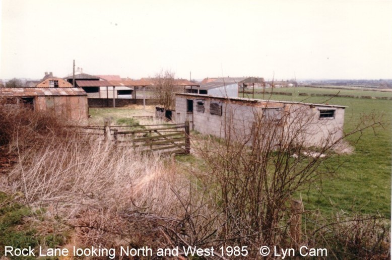 Views from Rear of Rock Lane  by Lynn Cam