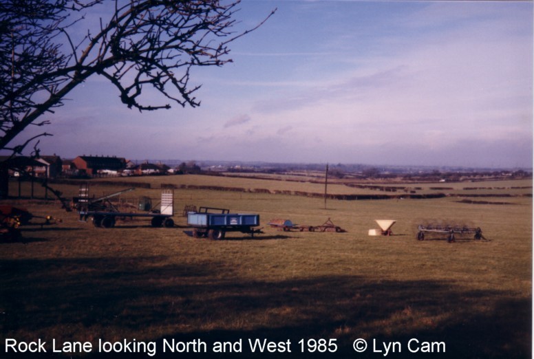 Views from Rear of Rock Lane  by Lynn Cam