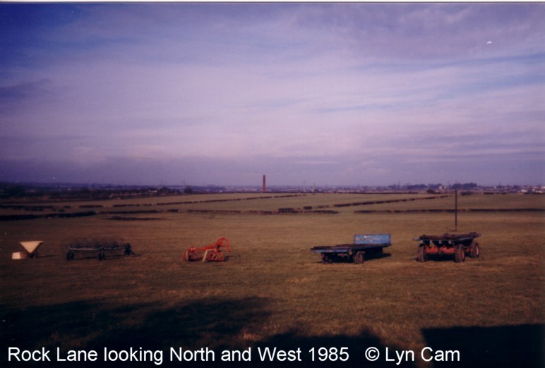 Views from Rear of Rock Lane  by Lynn Cam