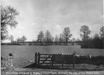 Photo Watch Elm field