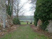 Photo of Longuville sur cie in France