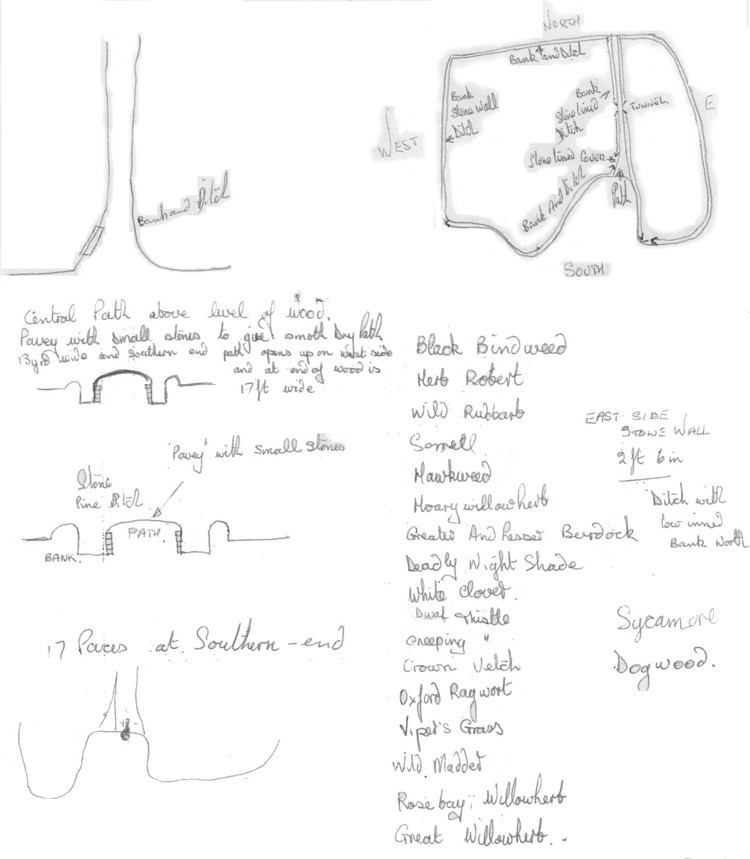 Notes about Long and Armitage wood