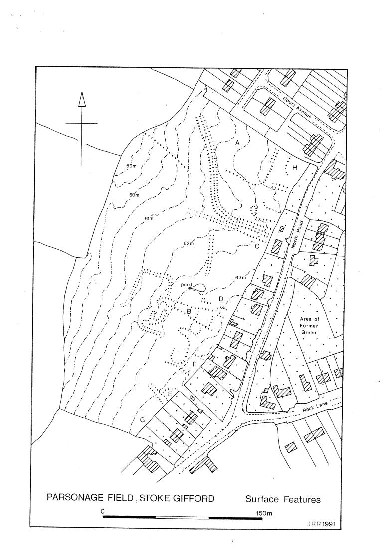 Excavations at Parsonage Fields surface features