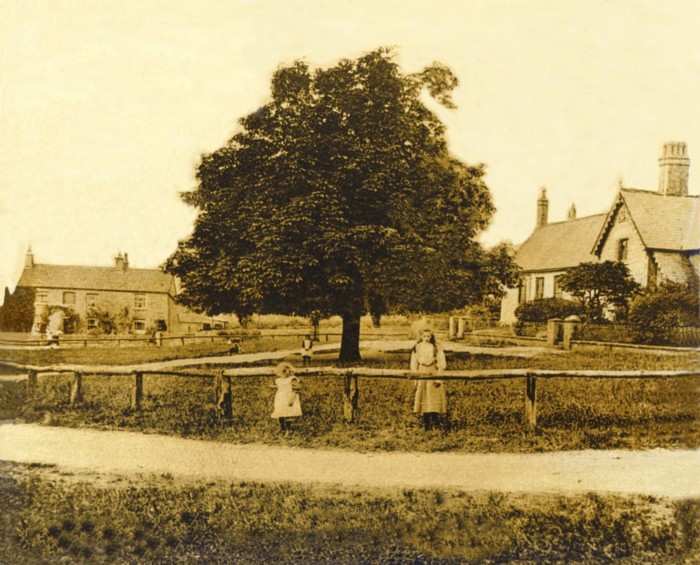 Photo of houses on Village Green