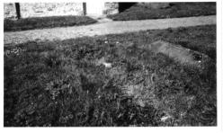 Photo of grave in St. Michaels graveyard