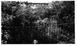 Photo of grave in St. Michaels graveyard