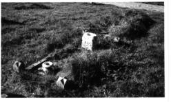 Photo of grave in St. Michaels graveyard