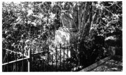 Photo of grave in St. Michaels graveyard