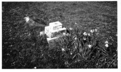 Photo of grave in St. Michaels graveyard