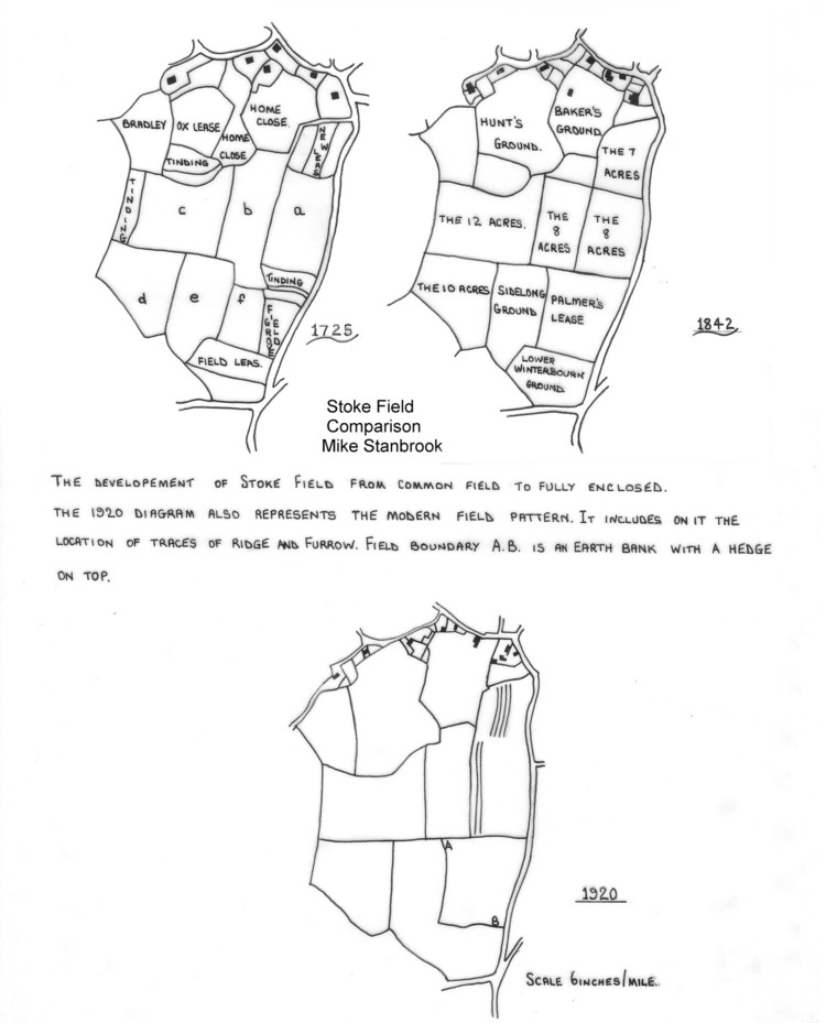 Map of woods