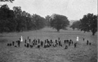 A Photograph of Stoke Park Burden Colony