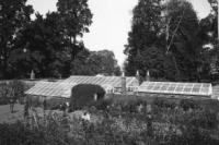 A Photograph of Stoke Park Burden Colony