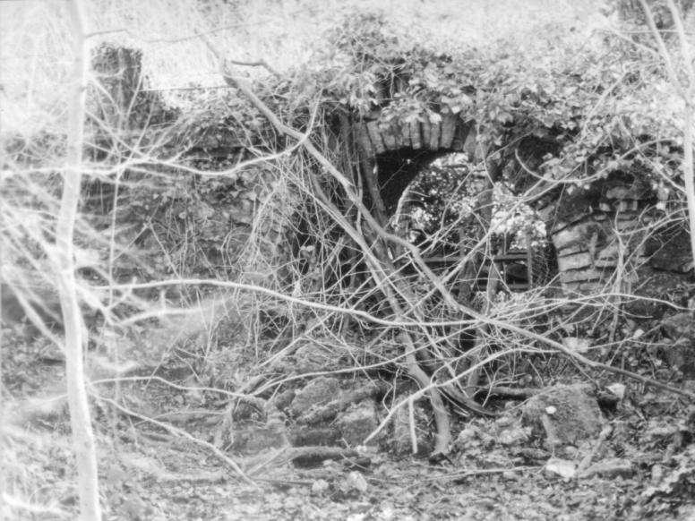 A Photograph of Stoke Park from the Glenside Museum