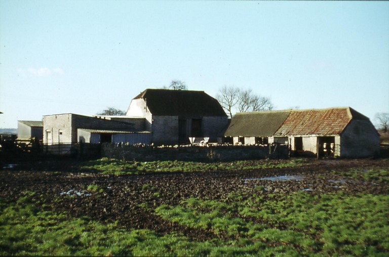 Webbs Farm