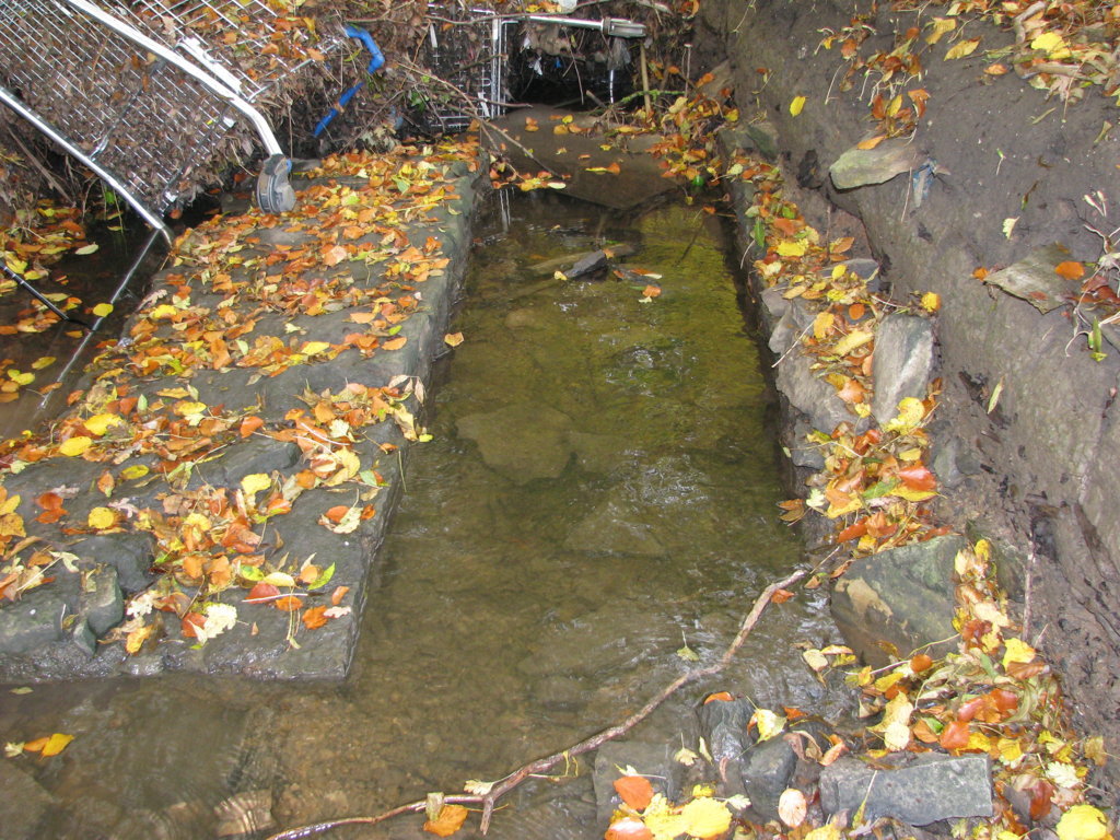 Stone structure in stream