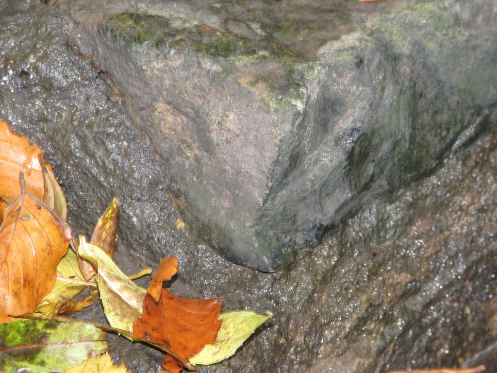 Stone structure in stream