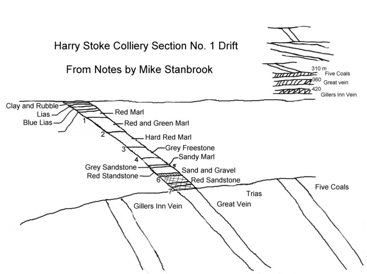 Harry Stoke Coal Mine - Section of seams