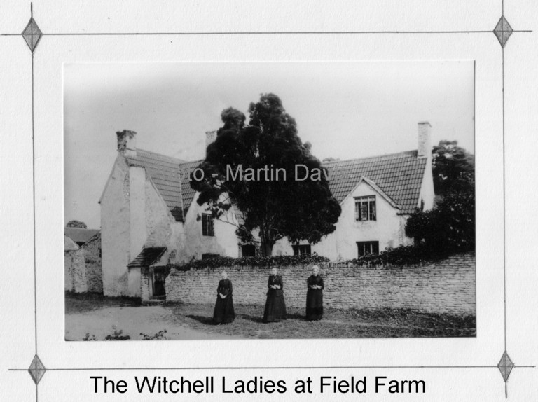 photo witchell ladies at field farm circa 1930